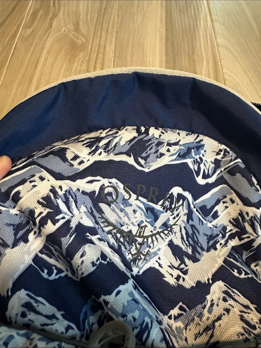 OSPREY daylite Navy Daypack with Mountain Pattern - Picture 2 of 10